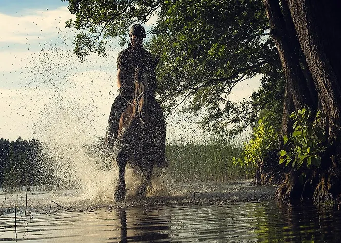 Warmia Park 4* 奥尔什丁