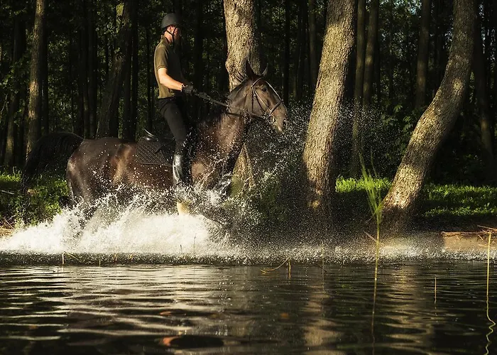 酒店 Warmia Park 4*